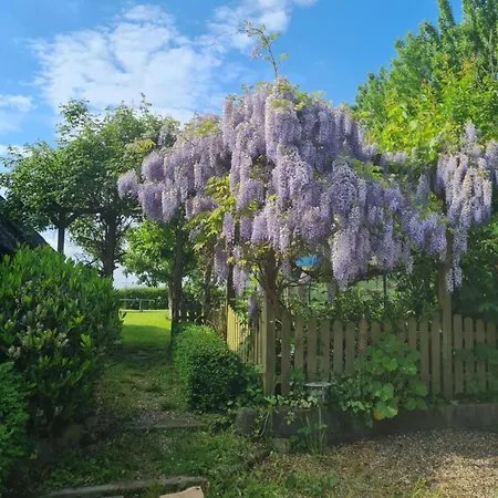 Sommer Hébergement de vacances Nordborg